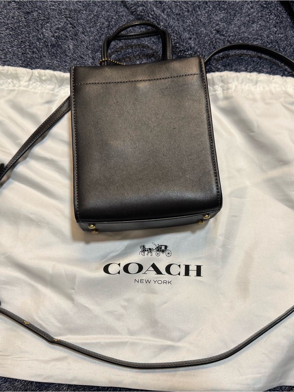 Coach Cashin Mini Tote Crossbody Bag